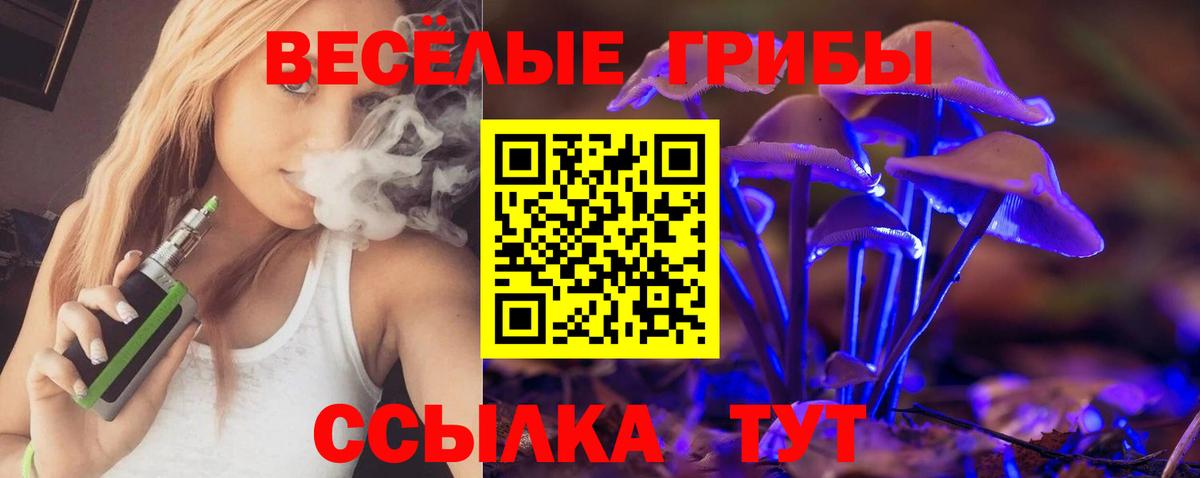 Псилоцибиновые грибы Psilocybine cubensis  Вход с VPN  Лесозаводск  Галлюциногенные грибы мухоморы 